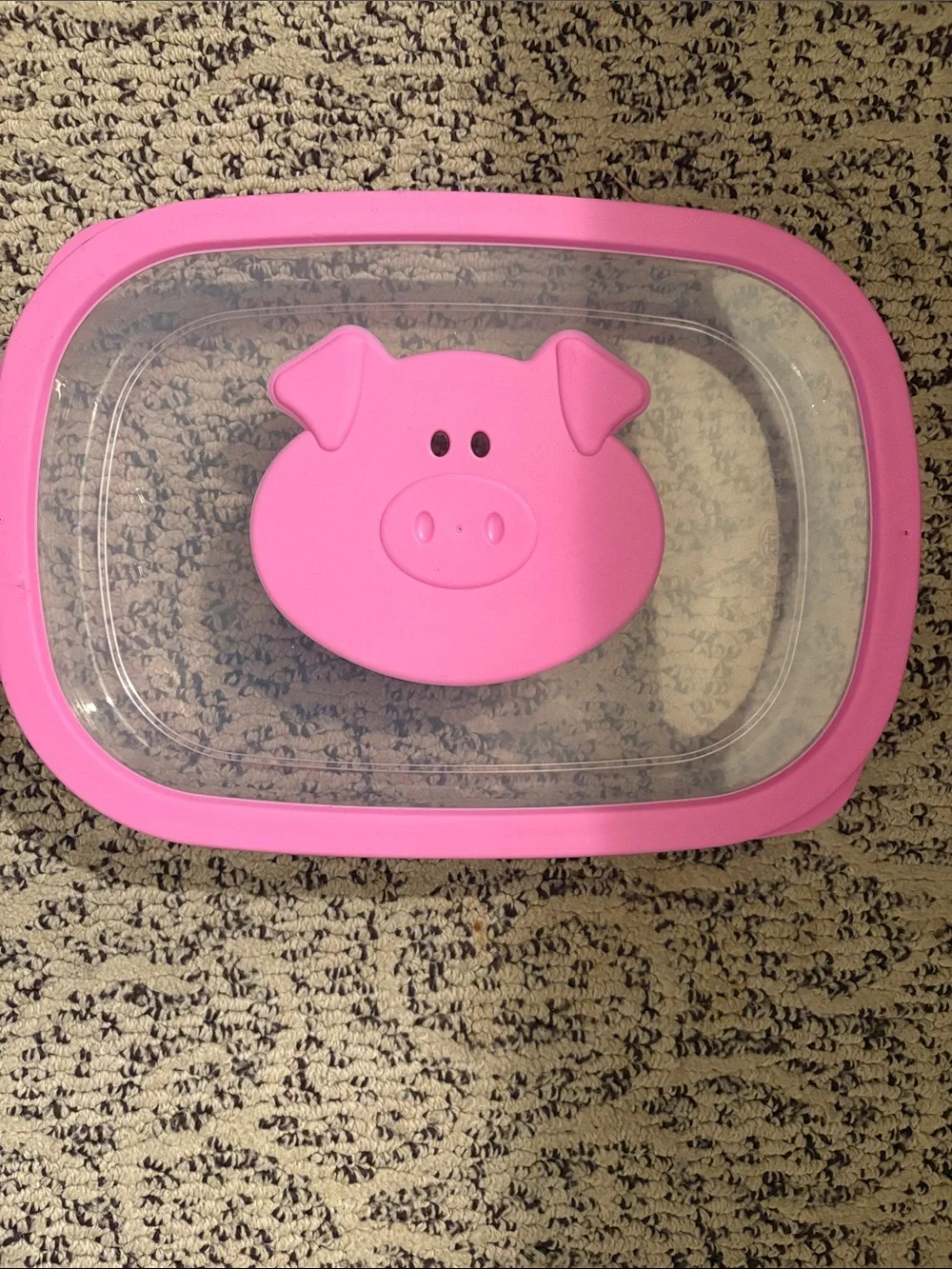 Ham/Bacon Fridge Container